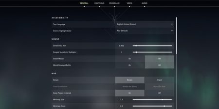 What Is Raw Input Buffer In Valorant